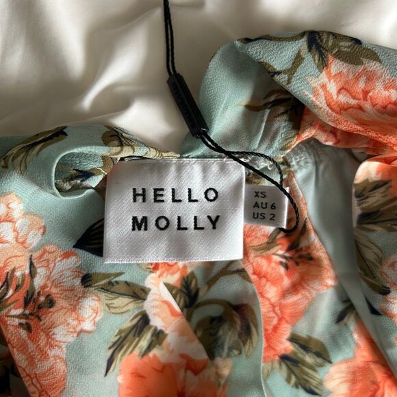 NWT Hello Molly Floral Chiffon Bodysuit | Deep V-Neck Long Sleeve Top | Size XS - Picture 5 of 11